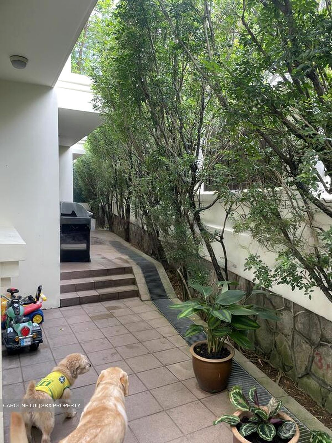 One Tree Hill (D10), Semi-Detached #474414891